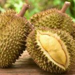 Buah Durian Bawor Kaki 3