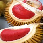 Durian Merah Banyuwangi