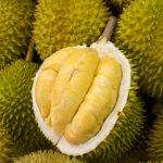 Durian Musangking Kaki 3