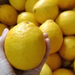 lemon kalifornia