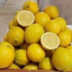 The seedless Ayelet lemon variety presented at the annual Citrus Conference
