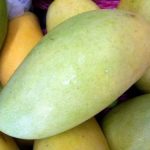 mangga-okyong-dalam-pot