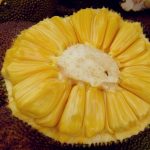 nangka-kandel