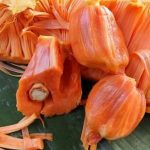 nangka merah