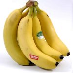 pisang-cavendish