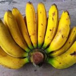 pisang raja