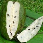 sirsak madu